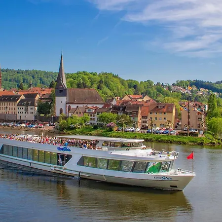 Bei Heidelberg Кемпинг