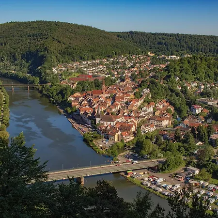 Bei Heidelberg Неккаргемюнд
